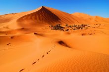 tour 7 dias Marrakech al desierto