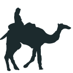 camello al reves 21