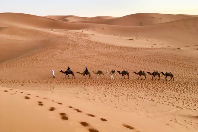 Excursión de 4 días de Casablanca a Marrakech por el desierto