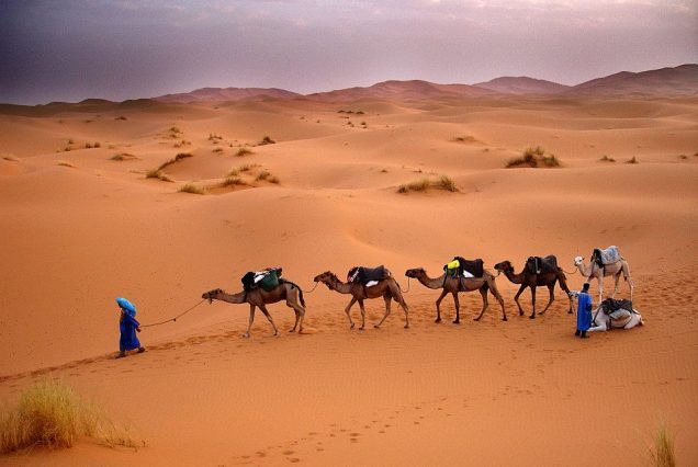 Camel Trekking in Morocco camel ride overnight In The Desert