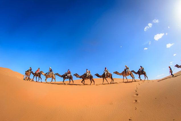 Tour 8 dias desde Casablanca al Desierto y Marrakech