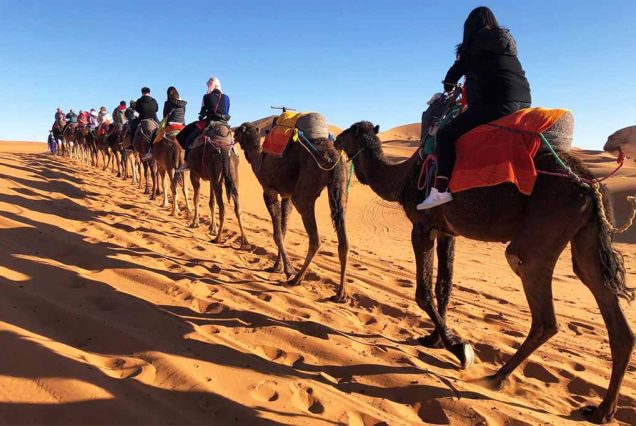 1 Dia y 1 Noche Paseo en Camellos Merzouga